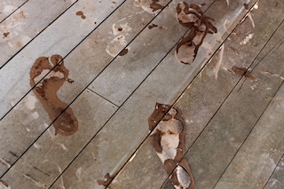 Tyler Mitchell Chrysalis exhibition Gagosian Tenderly 2022 