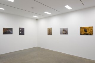 Jac Leirner Junkie White Cube Masons Yard London 1