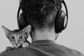 Marvel Harris, Cat on Shoulder of Human With Headphones