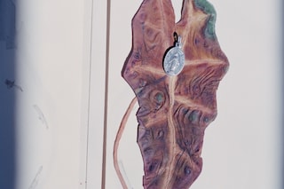 Joanna Szproch, Alltagsfantasie