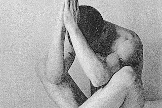 Peter De Potter’s ‘The Vanity of Certain Flowers’