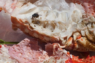 Wolfgang Tillmans at Tate Modern