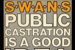Swans