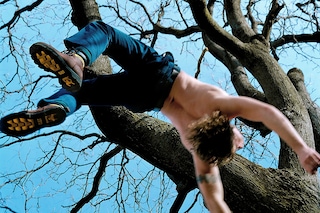 Blue Tree &#169; 2002