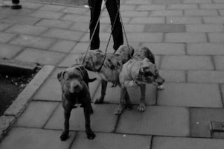 Loaded Gun Charlie Birch