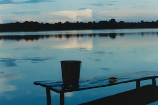 Record Stefan Dotter rainforest book photography