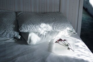 "Oh here you are, where did you disappear to?"