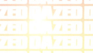 Tiktok Chicken Bag emma chamberlain 