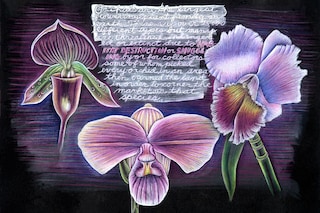 Judy Chicago at BALTIC