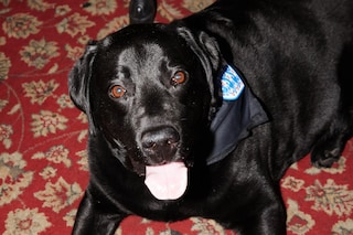 Hattie Crowther – Fuck the Fans