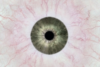 DB000_ F6_synthetic04_Web