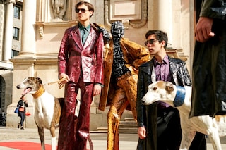 trussardi checking invoices archive now collaboration 