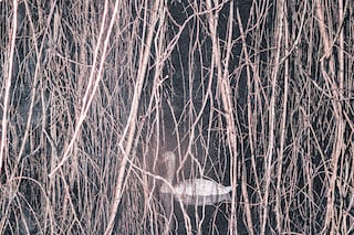 At Least Until the World Stops Going Round