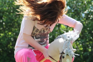 Hobbyhorse