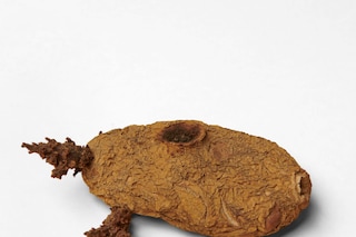 Tricker&#39;s Cabin Online Ceramics book