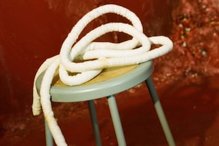 Benedict Brink and Mila Taylor Young’s Body Building 3