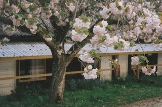 Silent meditation retreat