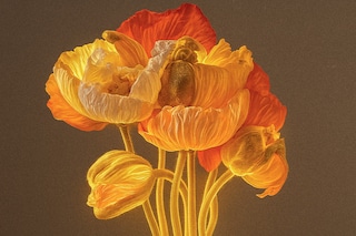 Fluorescent Flora 2, FAIK Magazine, 2025