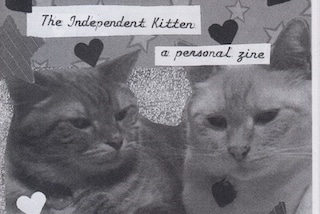 The Wide World of Lesbian Cats