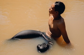 Gleeson Paulino: Echoes Of The Amazon