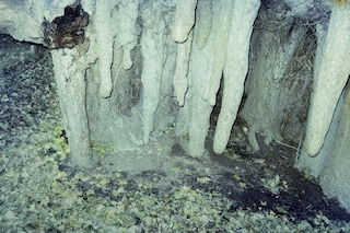 Daisuke Yokota’s Taratine