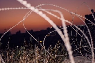 Greg Holland, Resistance: Art for a Free Palestine (2024)