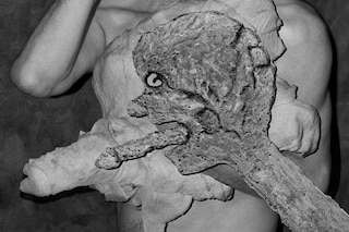 Roger Ballen and Asger Carlsen, No Joke