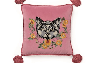 482722_ZAF06_5675_001