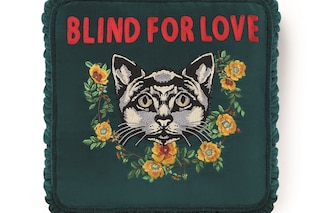 482729_ZAF10_3608_001