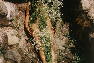 Laid Bare in the Landscape - Ana Mendieta