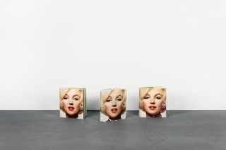 Anne Collier, Double Take
