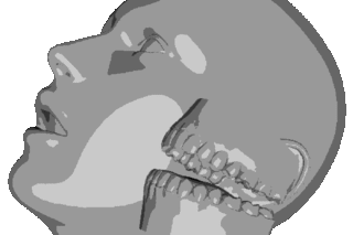 Dennis Cooper Gif