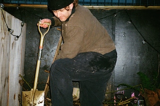 BLUE SHOE JOE