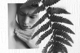 Peter De Potter’s ‘The Vanity of Certain Flowers’