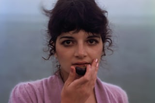 Joel Meyerowitz