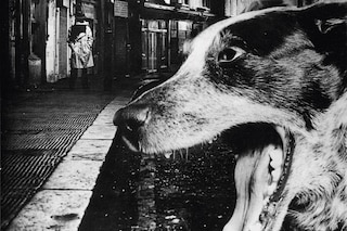 Hipgnosis Portraits