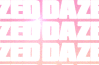 Timothée Chalamet and Larry David