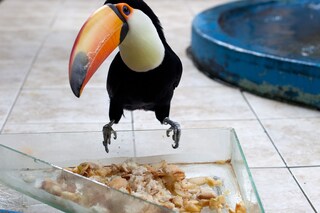 Wolfgang Tillmans at Tate Modern