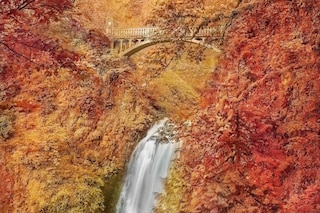 Trevor Paglen, Multnomah Falls (2022)