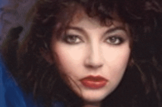 kate bush