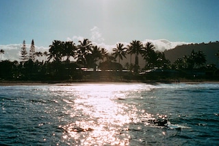 Island Time, Vivian Kim (2022)