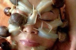 36712758_1849554375108504_4870486926479589376_n