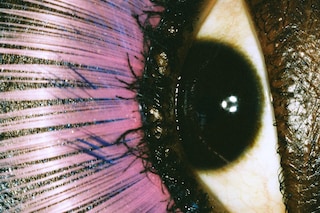 Carlijn Jacobs, Eyes (2023)
