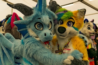 Furtannia by Tim Stoddard