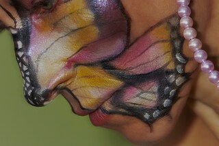 Metamorphosis