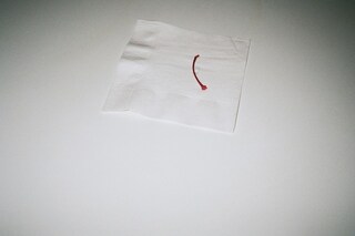 lorena lohr - untitled (cherry)