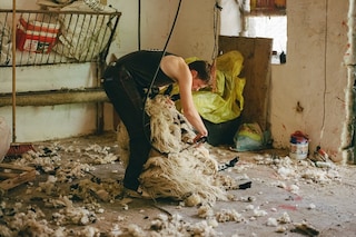 England Your England by Riposte 4