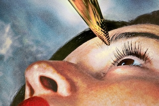 The California Picture Project