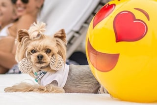 Little Lola Sunshine