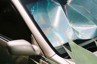  Live Wild LILAKHOSROVIAN_Petrichor2